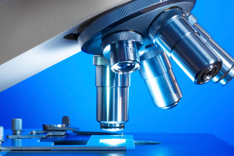 Phellodendrine Chloride 100mg