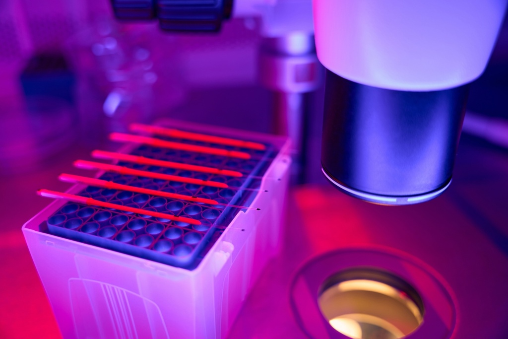 Prazosin Hydrochloride (350 mg),