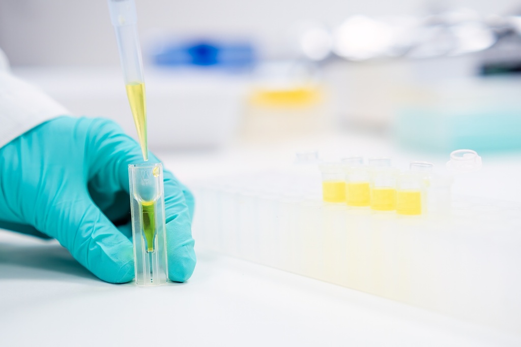 TLC-plates SIL G-50, 20x20 (1xPK)