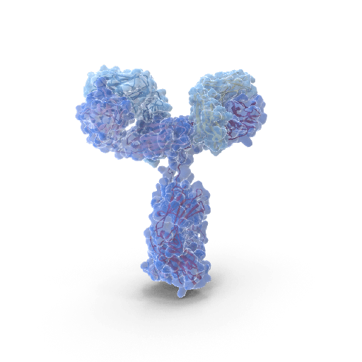 [ SAL-10P] Anti-Bovine Albumin (BSA) Ab CAT# SAL-10P
